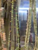 same as image