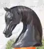 negro