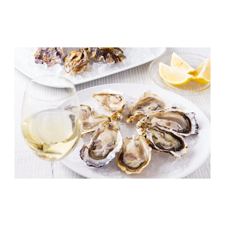 Wholesale Famous 4a Fresh Water Natural Fine Claire Oysters Farms ...