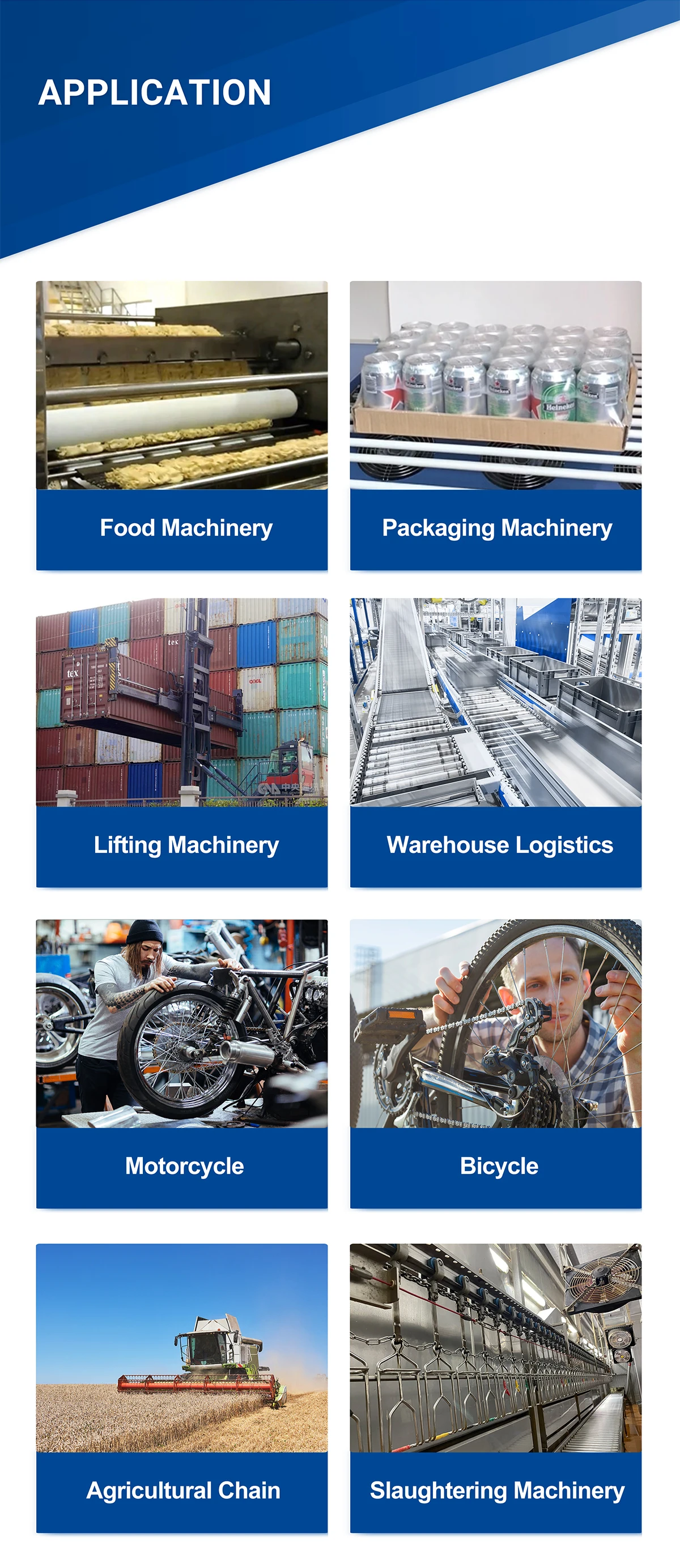 Tyc Stainless Steel Double Pitch Heavy Duty Roller Chain C2060 Std