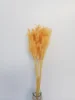 Naranja claro
