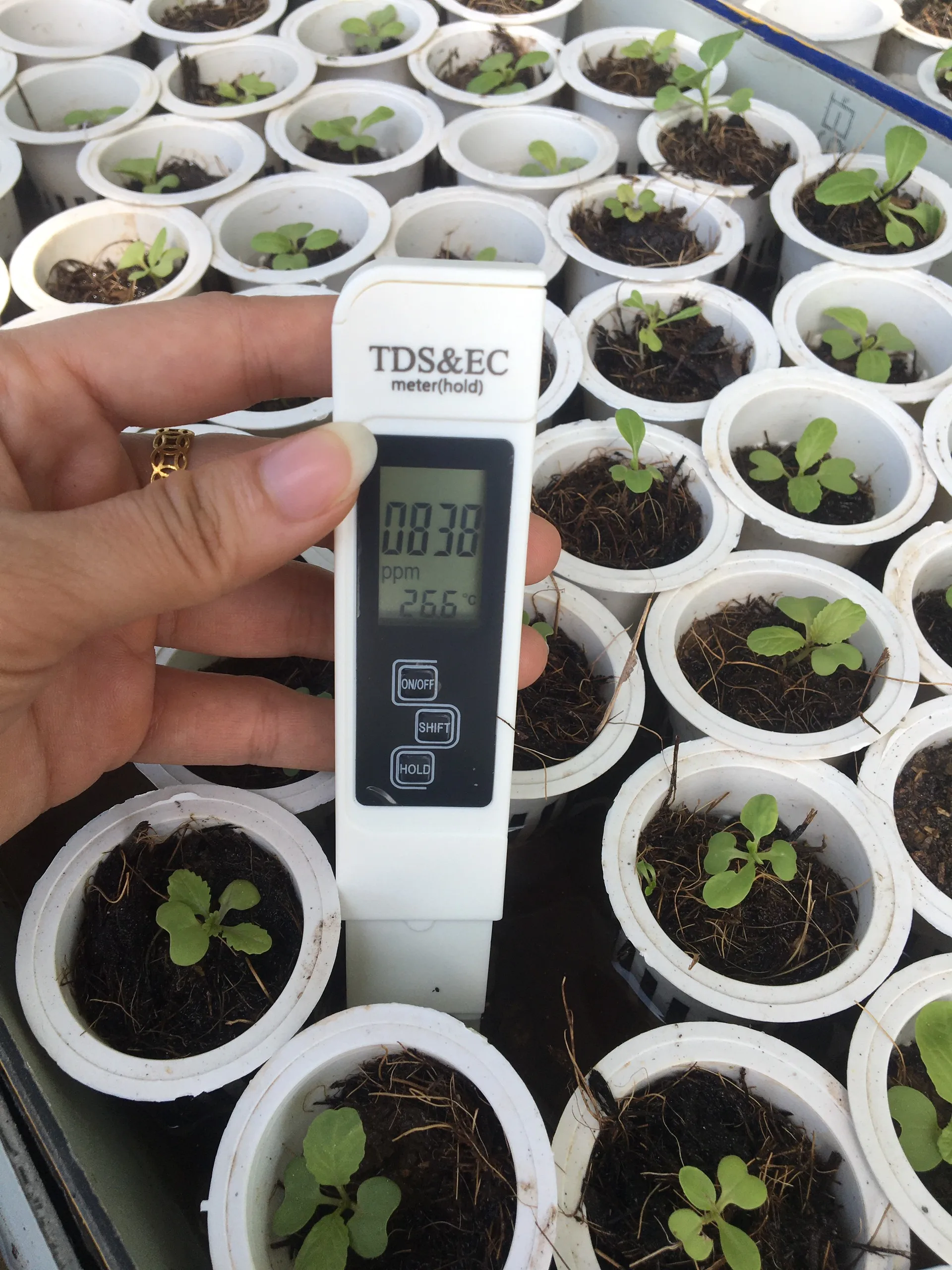 Garden Plants Function Hydroponic Sprout Planters Trays Oem Modernize Seed Type Pe Coated