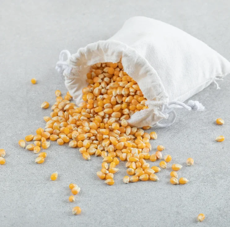 Yellow Corn/ Yellow Corn for Human Consumption Non Gmo Yellow Corn/ Yellow Corn for Animal Feed Popcorn