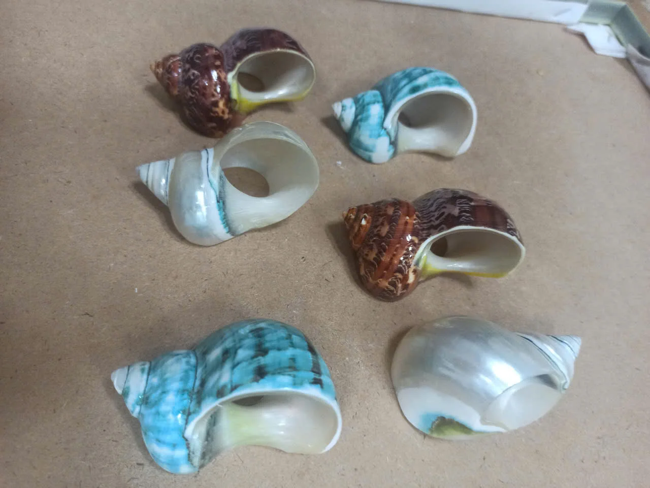 Natural Mother of Pearl Conch Shells for Crafts or Art Decoration Beautiful Designs at Reasonable Prices From Vietnam