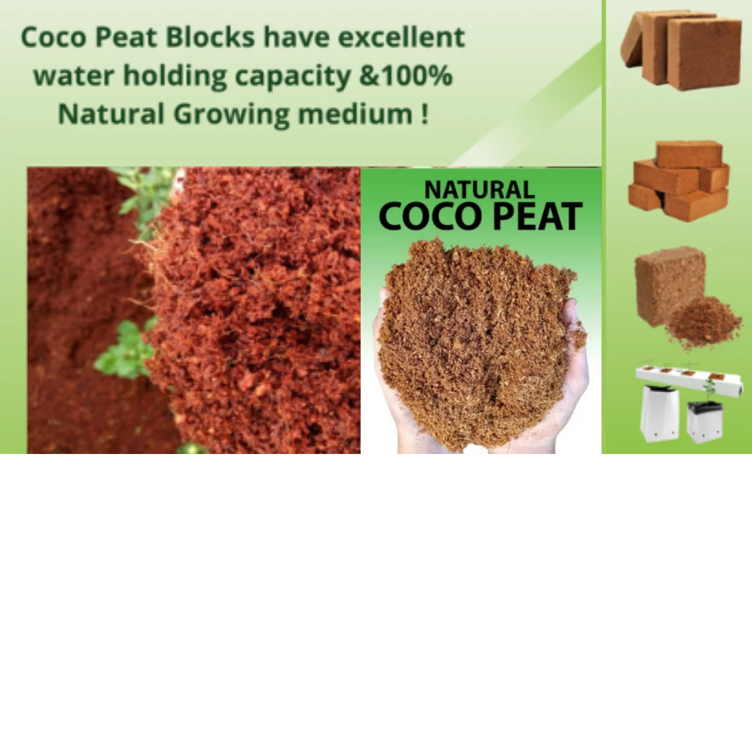 Coco Peat Coco Coir From Coconut Shell The Best Soil Moisturizer Cover