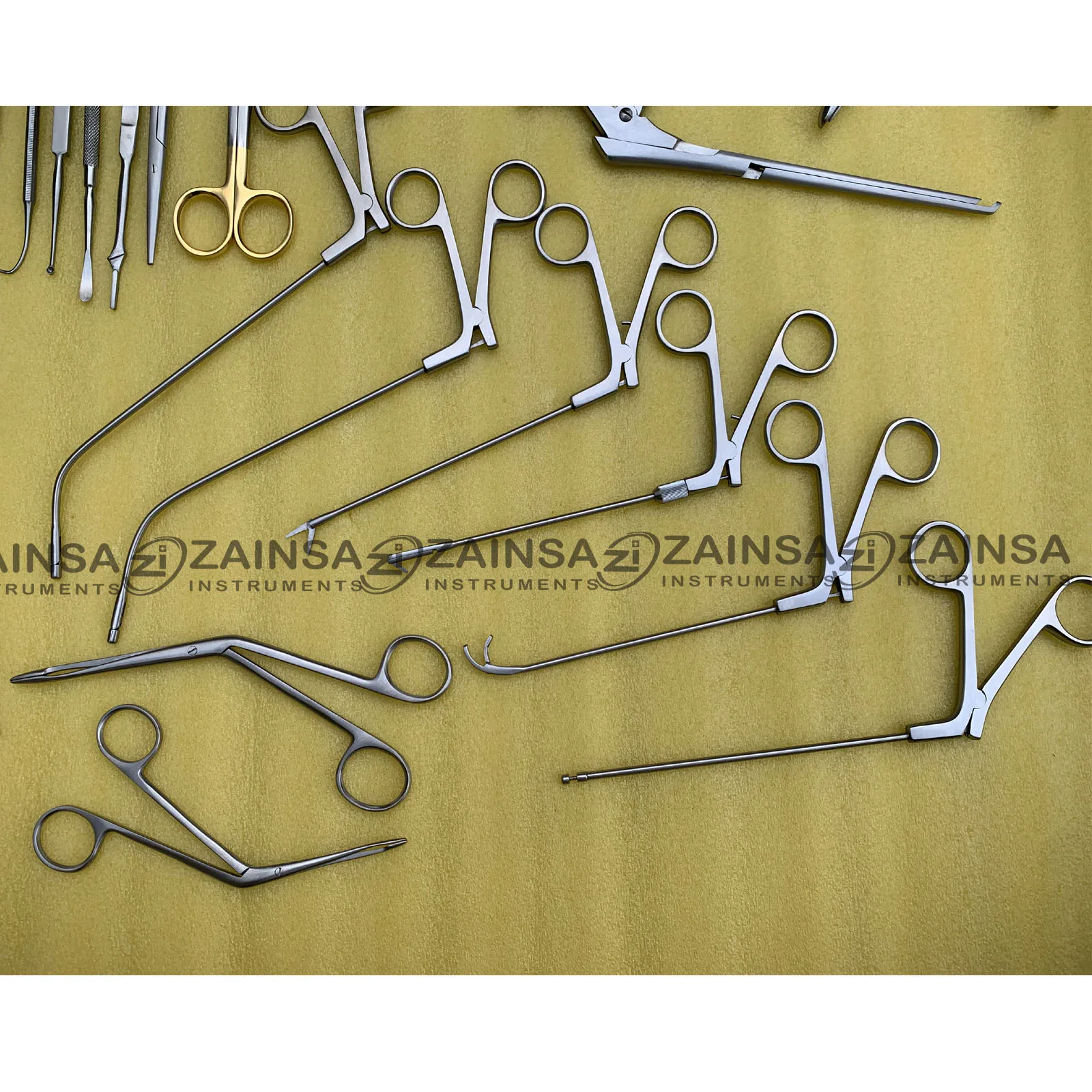 Fess Instruments Set Of Endoscopic Sinus Surgery Cheap