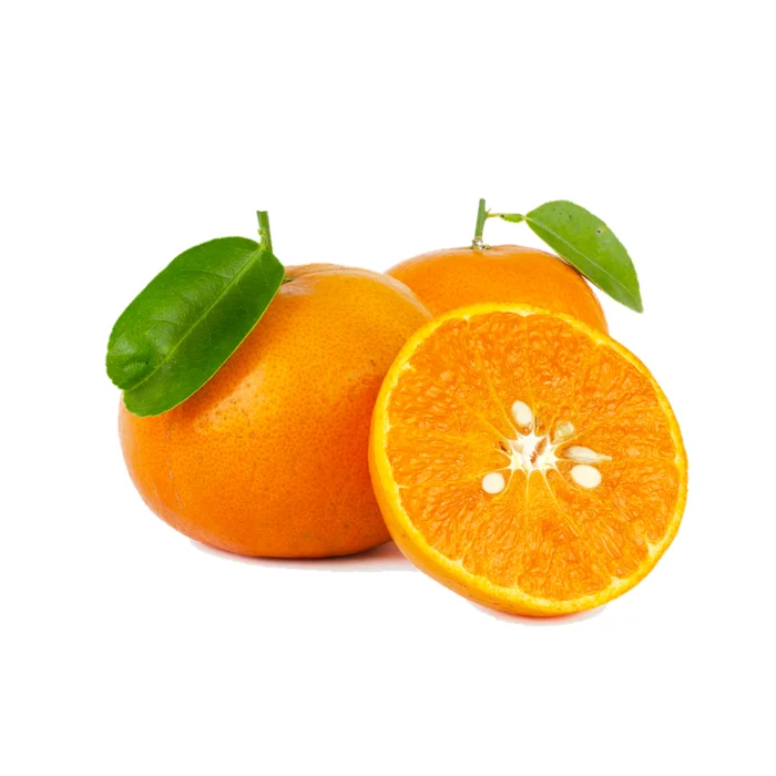 Navel Orange Valencia Orange Fresh Fruits High Quality Fresh Organic ...