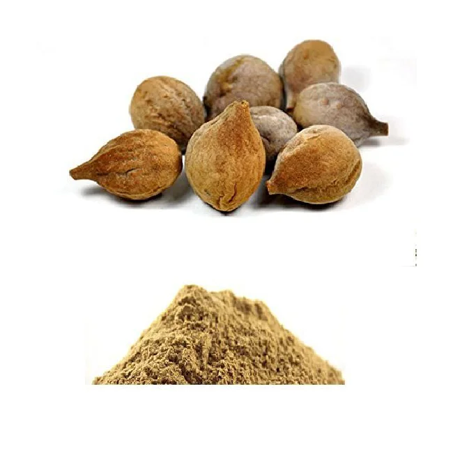 Unlock The Marvel Of Ayurvedic Wellness And Wellbeing With The