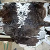 Dark Brown with White Spine Pattern