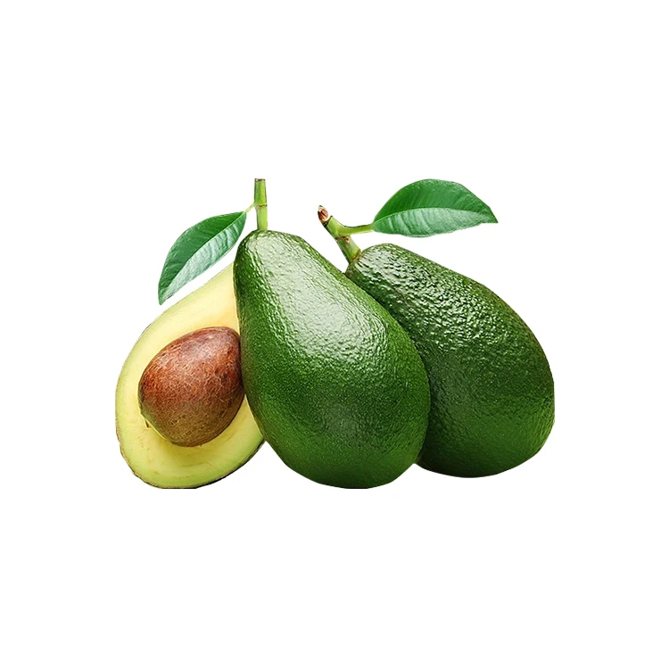 Direct From Producers! High Protein Premium Fresh Frozen Avocados From Vietnam Fuerte Top Grade GMO with Best Price Hot Sale