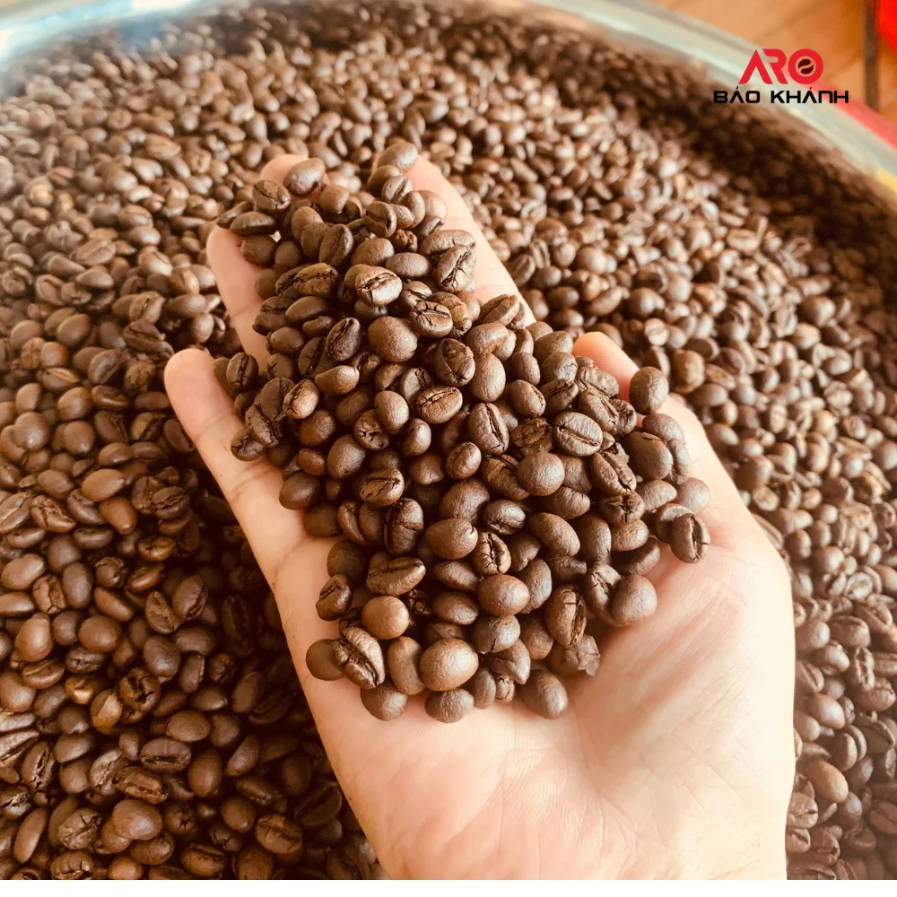 优质阿拉比卡咖啡品牌越南烘焙咖啡豆1千克接受OEM。价格好，香味浓郁，果味，酸度，香甜