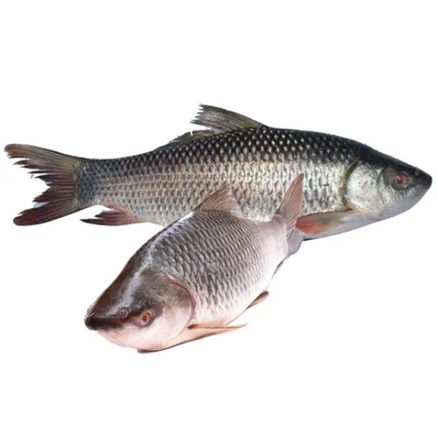 rohu fish per kg rate