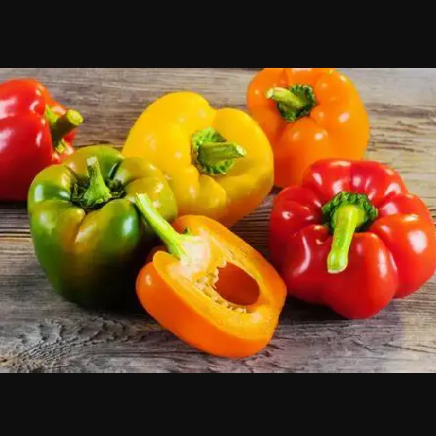 Capsicum