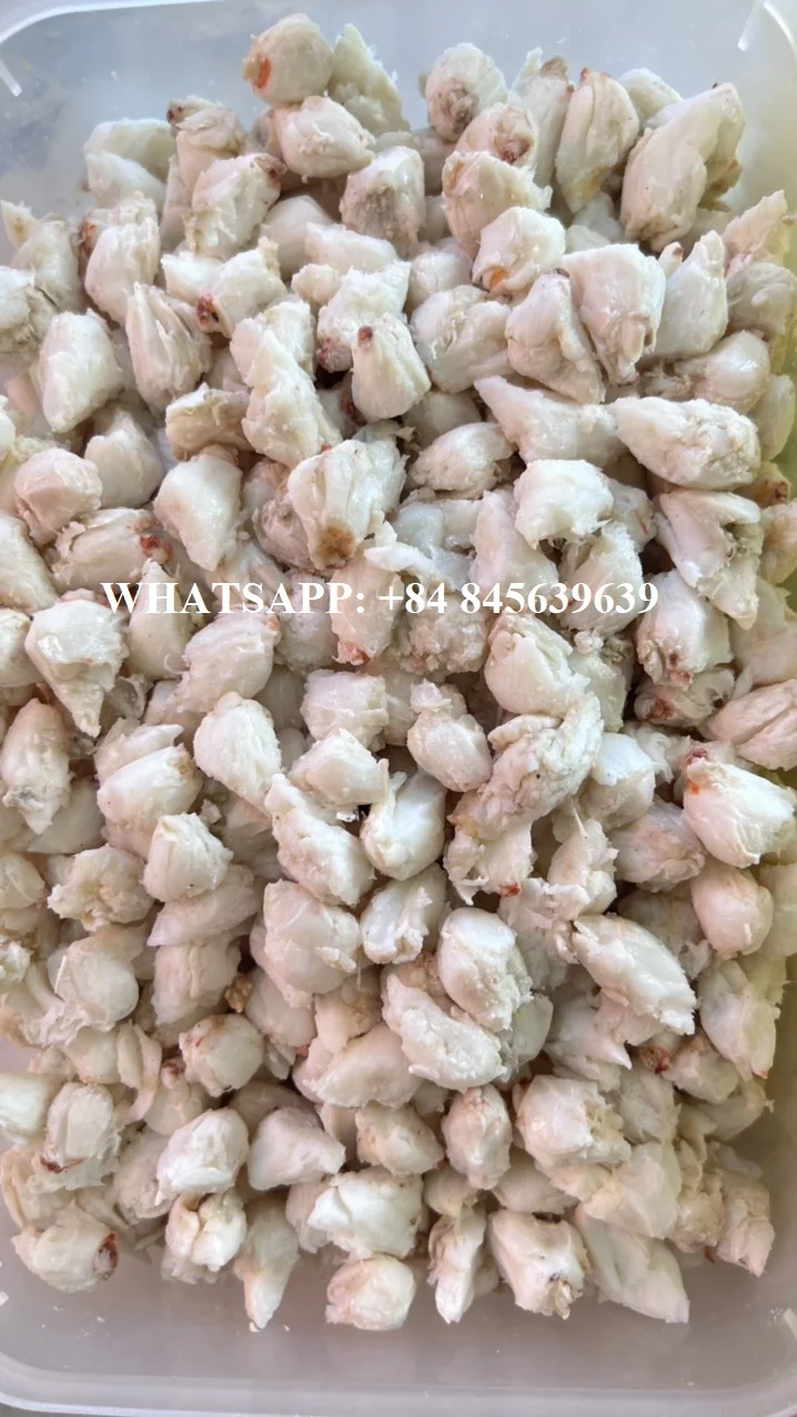 Fresh Pasteurized Jumbo Lump Meat Crabs Seafood Shrimp Sea Vietnam