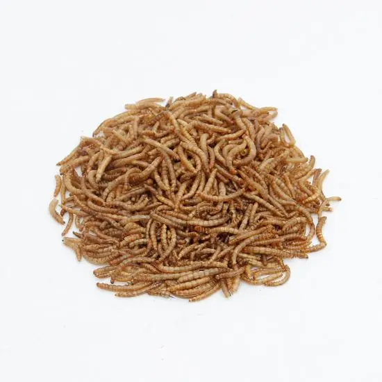 Dried Mealworms From Factory,High Protein Mealworms For Pet Feed Buy