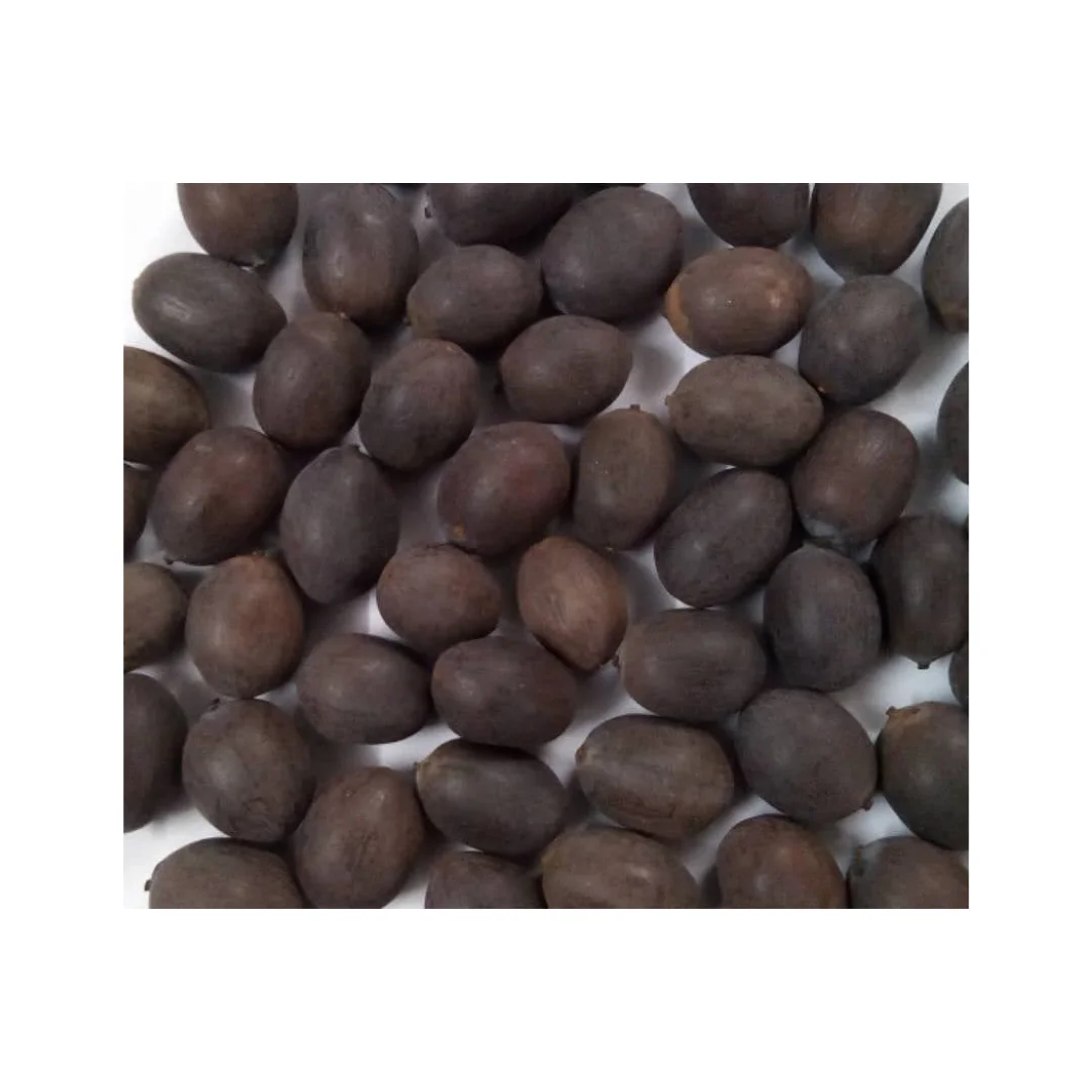BIG DEAL and BEST OFFER FROM 99 GD for BLACK LOTUS SEEDS NATURAL DRIED NUTS and SEEDS FACTORY