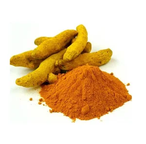 Wholesale Bulk Turmeric Extract Powder 95% Curcumins Best Price Turmeric Extract Powder Buy From Indian Supplier Indian Spices