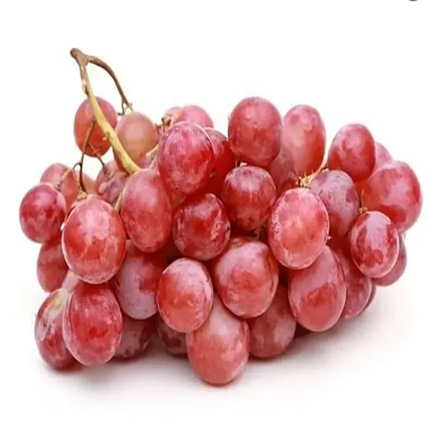 Export Superior Seedless Fruits Grapes Fresh Red Globe Seedless Grapes