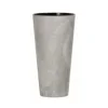 Cement