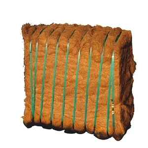 Best Market Price 100% Quality Sisal Hemp Fiber in Raw Pattern for Spinning Use