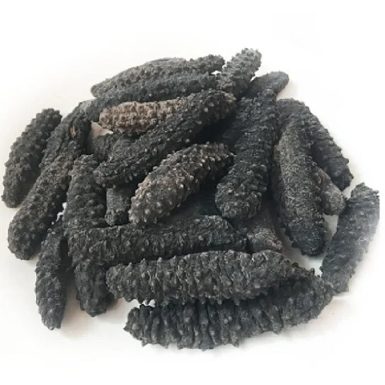 Wholesale High Quality dried sea cucumber buyers dry sea cucumber Cheap Price