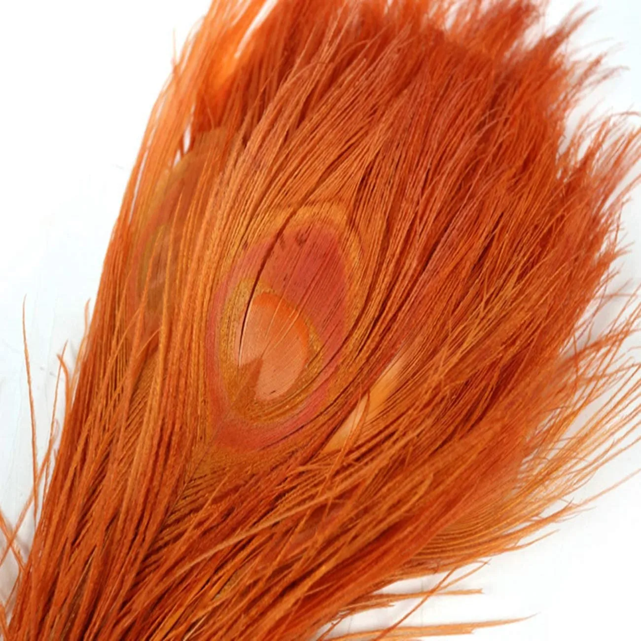 High Quality White Peacock Feather Big Eye Natural Color Long Peacock