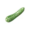 51204-291 Concombre