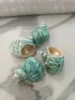 Concha Verde
