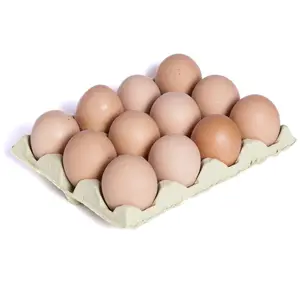 High Quality Fresh Brown Table Chicken Eggs Bulk Supply Quality Fertilized