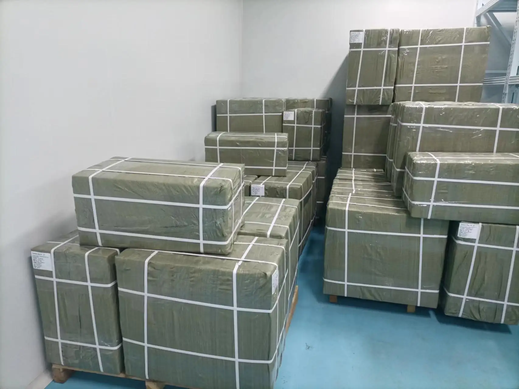 Canine Giardia Antigen Test Cgia Ag Rapid Test For Dogs Buy Canine