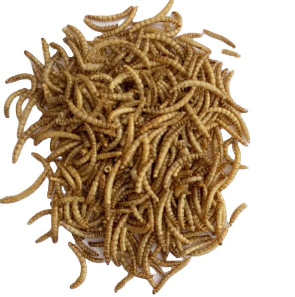 Wholesale Meal Worms Dried Poultry Feed Dried Mealworms Buy Meal Worms,Mealworm Meal Insect