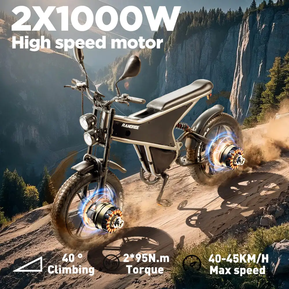 RANDRIDE DM711 20\" Electric Mountain Bike with 2000W 20Ah Dual Motors 60km Range 48v Lithium Battery 20\" Rear View Mirrors