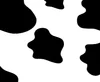 cow print