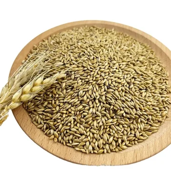 Skinless (Dehulled) Canary Seed – Alpiste, Silica Fiber Free, Hairless – Choose Size