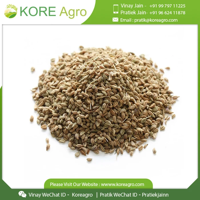 New Crop Ajwain Seeds 100 Fresh Dried Ajwain Carom Seeds For Sale