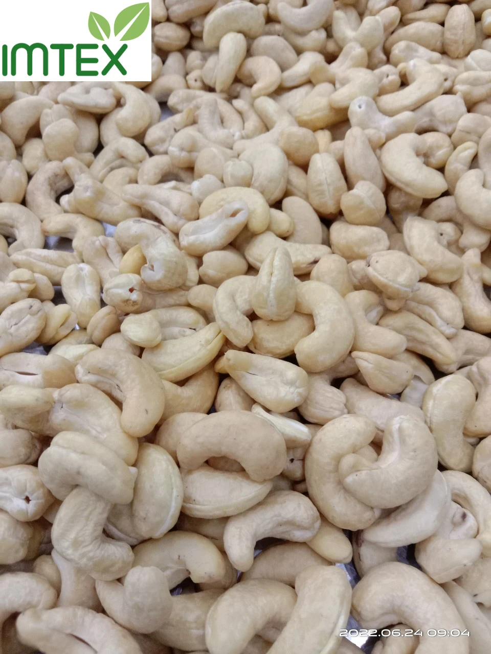 Vietnam Whole Cashew Nuts Ww240 For Middle East Market Buy Vietnam