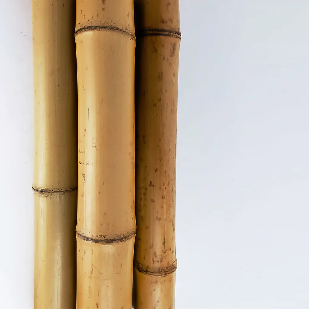 Moso thick strong bamboo poles tonkin tamboo pole from vietnam cheapest price wholesale ready for export