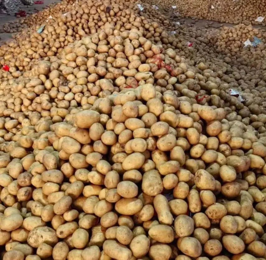 Potatoes from Central Europe