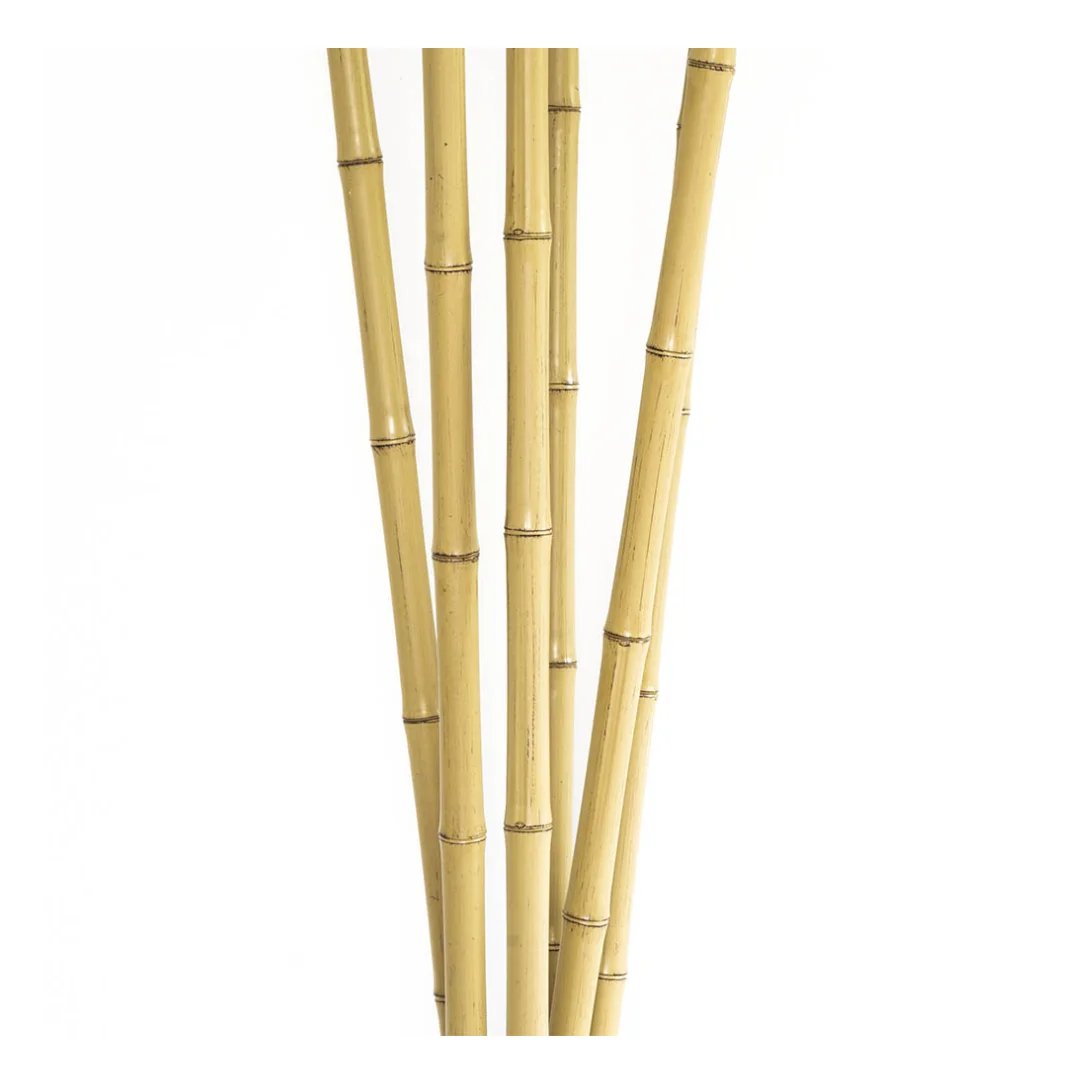 Decorative Natural Bamboo Poles Agriculture High Quality in Viet Nam With Cheap Price