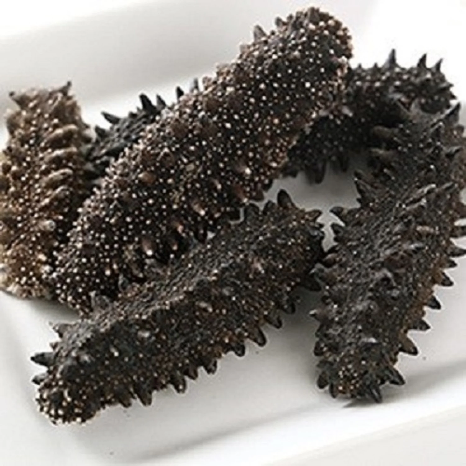 Wholesale Price Dried Sea Cucumber Buyers Worldwide - Buy Dried Sea ...