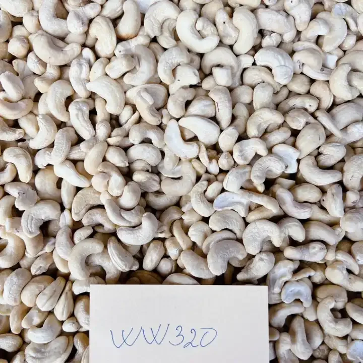 Thailand Cashew Nuts W450,W320,W240,W210,W180,Lp,Sp With Factory Price ...