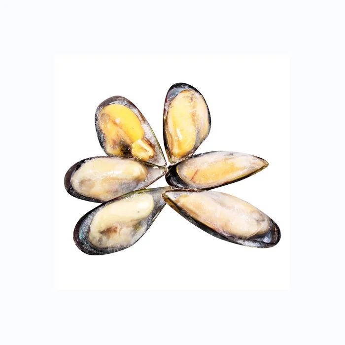 Frozen Mussels Clam Oyster Blue Mussel Scallop Shellfish Buy Fresh Peeled Frozen Scallop Meat