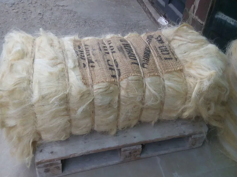 High Quality Cheap UG and SSUG Natural sisal fiber Ready for Export