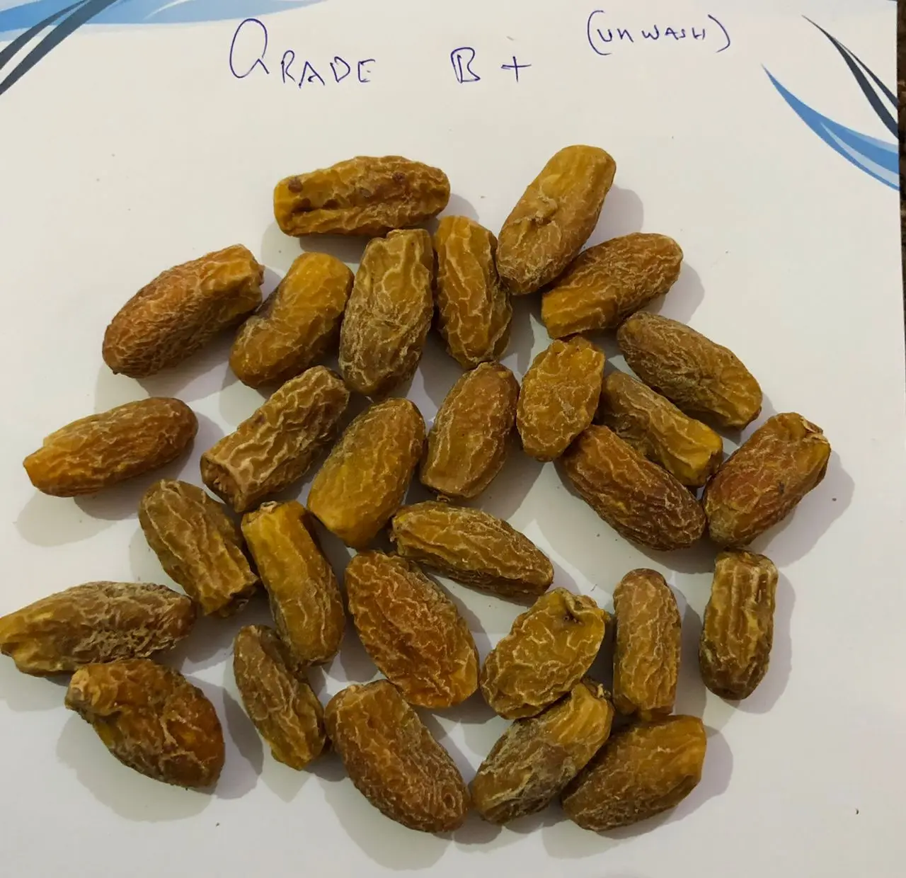 yellow dates (2).jpg