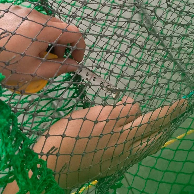 Cesta Para Pescar Anguilas, Accesorios De Pesca, Receptor De