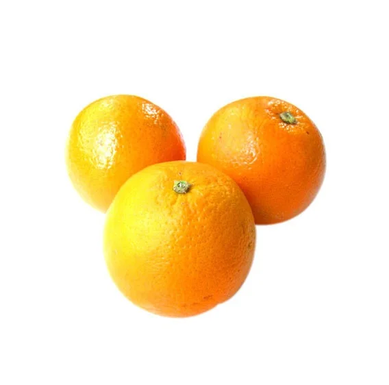 Valencia Oranges Fresh Produce Citrus From Egypt Fresh Fruits Bulk