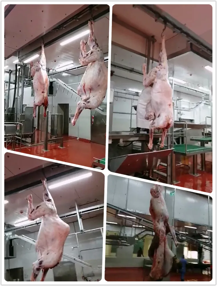 Cow slaughterhouse halal equipment for cattle slaughterhouse beef processing line