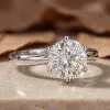 Anillo Redondo