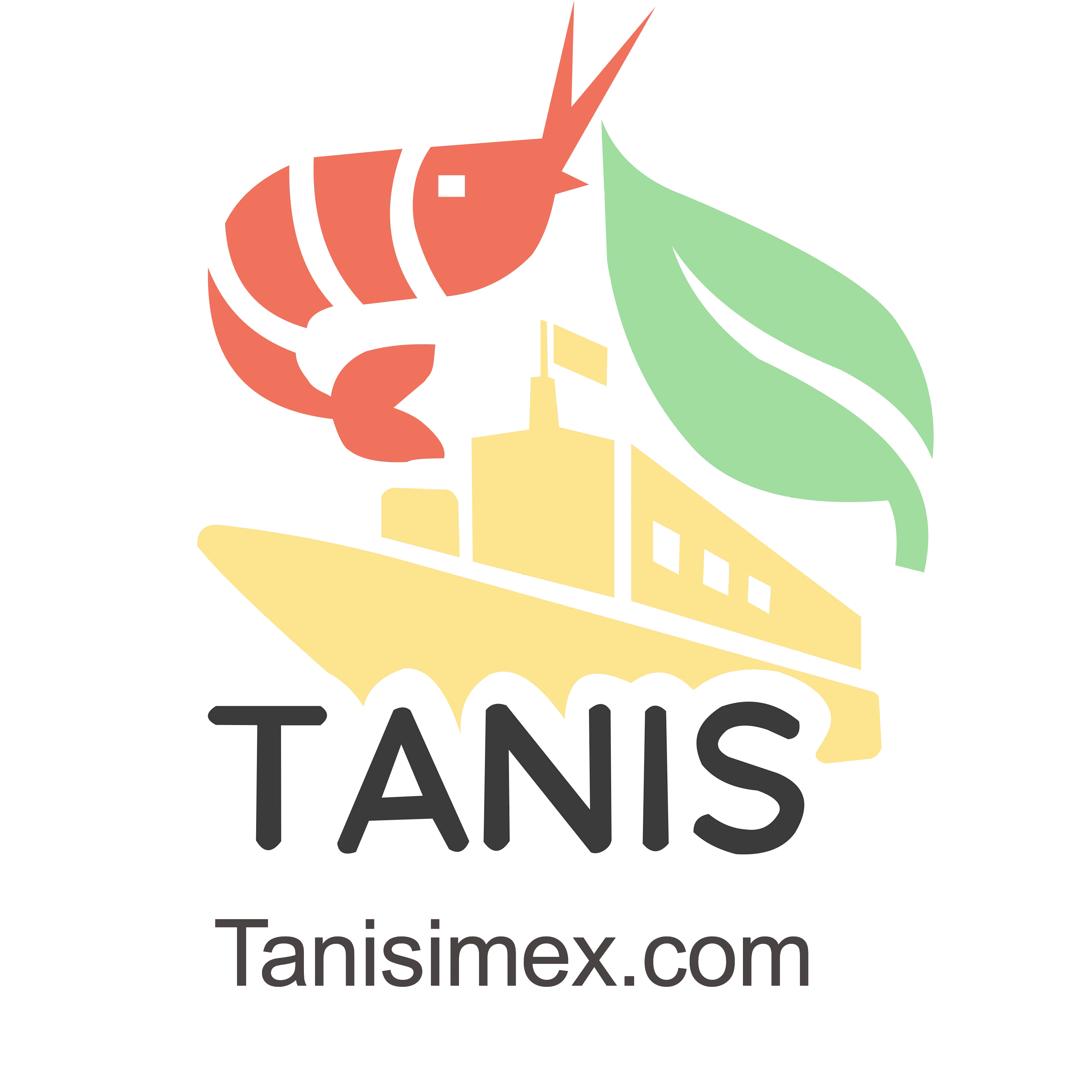 Company Overview TANIS IMPORT & EXPORT COMPANY LIMITED