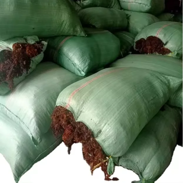 SEAWEED REPLACE GELATIN in FOOD/ RAW DRIED MARINE ALGAE for PRODUCING GUM GUMMY SNACK/ MARINE ALGAE USED AS CHEMICALS, MEDICINAL